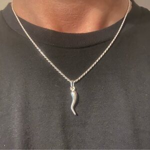 Solid Silver Italian Horn and Chain Necklace Set